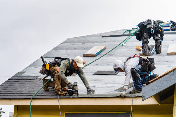 Professional Gutter Installation technician working in White Plains, VA